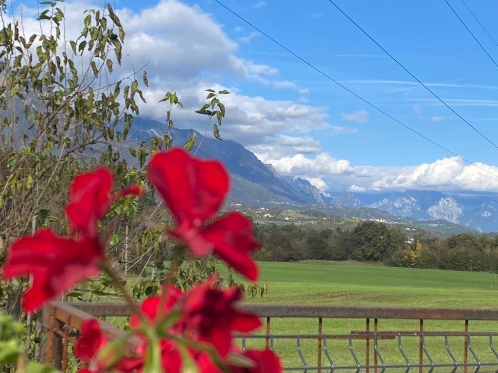 Il Mondo Roverso Feltre Exterior photo